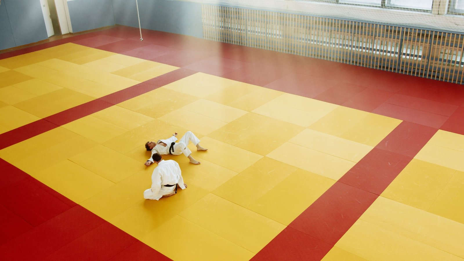 Aerial view of two martial artists sparring on colorful dojo mat indoors.